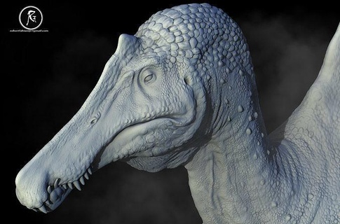 spinosaurus wildlife nature dinosaur animal prehistoric teeth reptile creature beast dino jurassic paleontology fantasy fictional bird science biology 3d print model - Mito3D