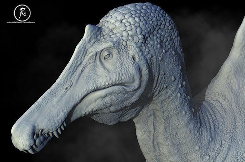 spinosaurus fauna silvestre naturaleza dinosaurio animal prehistórico dientes reptil criatura bestia jurásico paleontología fantasía ficticio pájaro Ciencias biología 3d print model - Mito3D