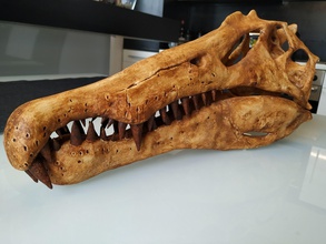 spinosaurus dinozor kafatası fosil jurassic dino sanat heykeller 3d print model - Mito3D