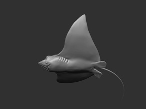 macchiato aquila raggio pesce sott'acqua natura acqua animale oceano arte sculture 3d print model - Mito3D
