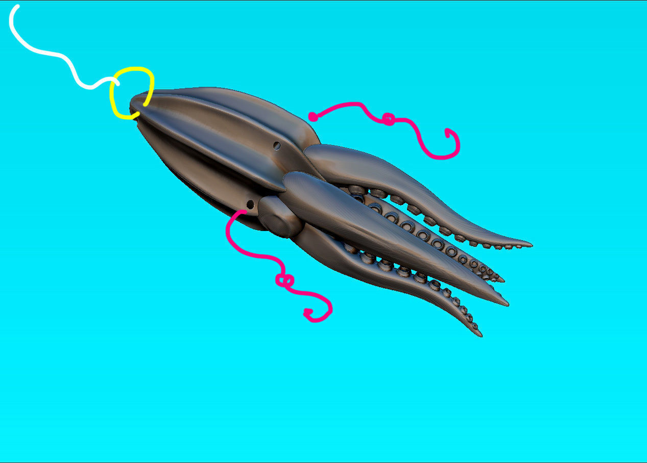 calamar poulpe one piece pêche leurre marin nature poisson mer animal l'eau requin loisir sport rivière diy 3D print model - Mito3D