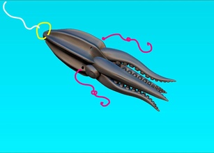 calamar pulpo one piece pescar señuelo submarino naturaleza pez mar animal agua marina tiburón ocio pasatiempo deporte río bricolaje diy 3d print model - Mito3D