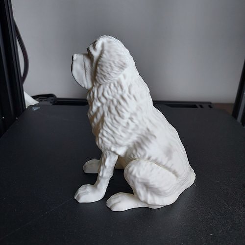 st Bernard terrer 3d impression dossiers garçon gros woofer animal Saint chien canin chiot Beethoven compagnie Barry 3dprint 3dprinting art sculptures 3D print model - Mito3D