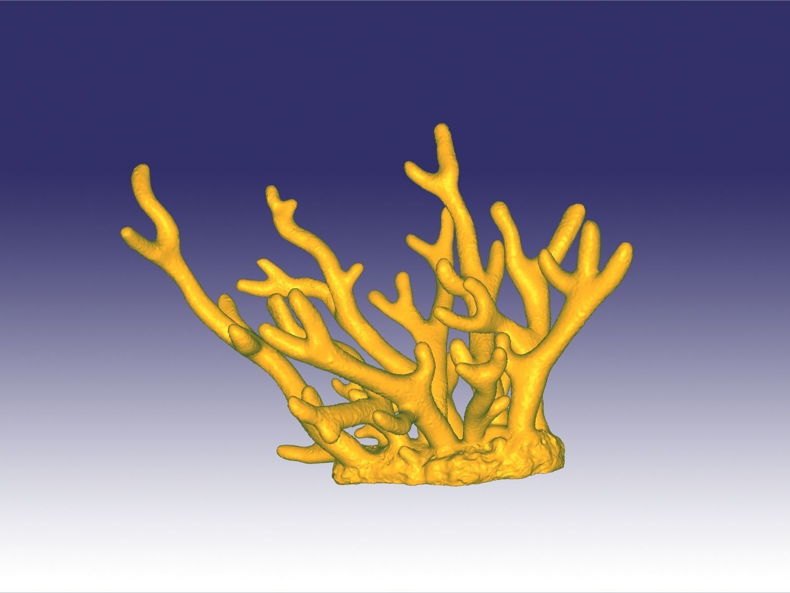 staghorn corallo natura animale acqua mare oceano pesce tropicale marino sott'acqua acquatico ambiente arte 3D print model - Mito3D