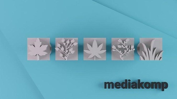 Briefmarken Keramik Blumen Muster einstellen Lehm Stempel Pflanzen Werkzeuge Kreativität Laub Handwerk Hobby DIY Hand 3d print model - Mito3D