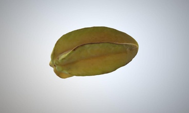 starfruit pistachio fruit food plant indonesia belimbing house kitchen dining 3d print model - Mito3D