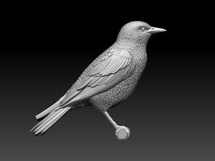 estornino pájaro pico plumas vuelo alas colibri Arte esculturas zumbador escultura colibrí impresión blanco 3d print model - Mito3D