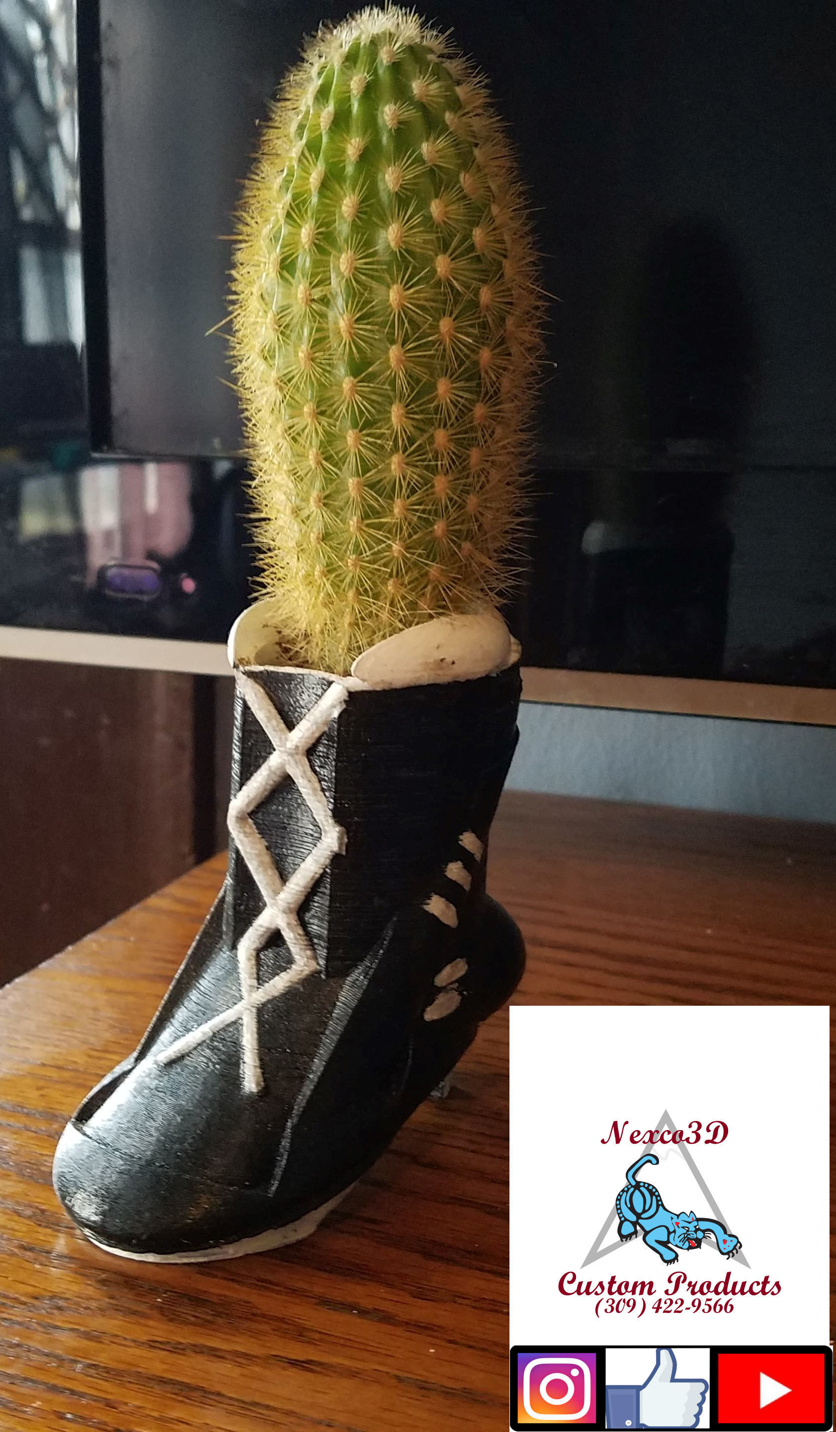 stella pot house cactus nature boot 1880s 1800s usable plant botany flora fashion outdoors summer botanic leaf flower indoors bush grow accessories 3D print model - Mito3D