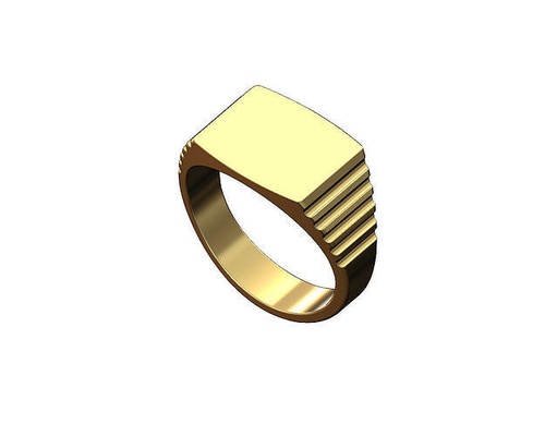 stepped rounded rectangular signet ring us sizes 5to11 engravable jewelry printable gold silver engraving initals wedding anniversary gents fashion bling watch men 3d model statement rings 3d print model - Mito3D