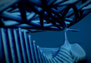 sting ray jogos-brinquedos stingray monsterfish litros rivermonsters peixe aruanã aquários esportes aquáticos predador aquascape 3d geométricas modelos imprimir impresso a geometria designtech paramétrico único xeebone jogos brinquedos de 3d print model - Mito3D