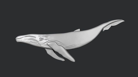 stl models 3d printing cnc whale blue sea big algae ocean riba shark underwater orca art sculptures 3d print model - Mito3D