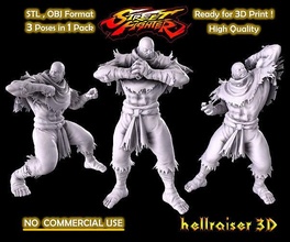 street fighter - sagat video game miniature statue sculpture figurine art hero fantasy 3dprint realistic character cartoon collection illustration games toys activity 3d print model - Mito3D