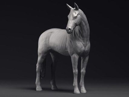 studia cavallo stampabile 3d modello cavalleria arte animale equestre mammifero snello briglia cowboy ovest medievale cavaliere scultura natura caballo sculture 3d print model - Mito3D