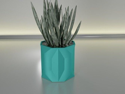 succulent plante pot 18 cactus feuille flore fleur croissance décoration maison déco bol vase planteur jardinage Bande vaisselle vert modèle décor 3d print model - Mito3D