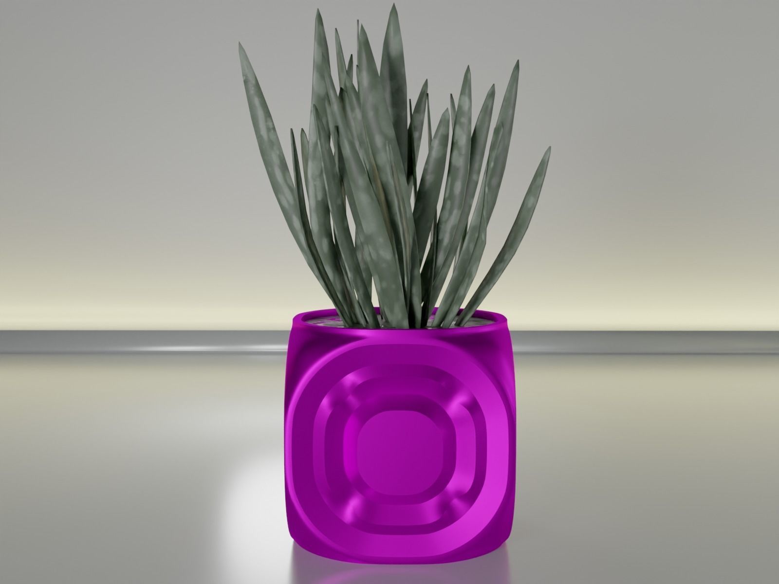 suculento planta maceta 20 cactus flora hoja flor áloe crecimiento botánico cuenco decoración vajilla jardinería hogar casa escritorio florero 3D print model - Mito3D