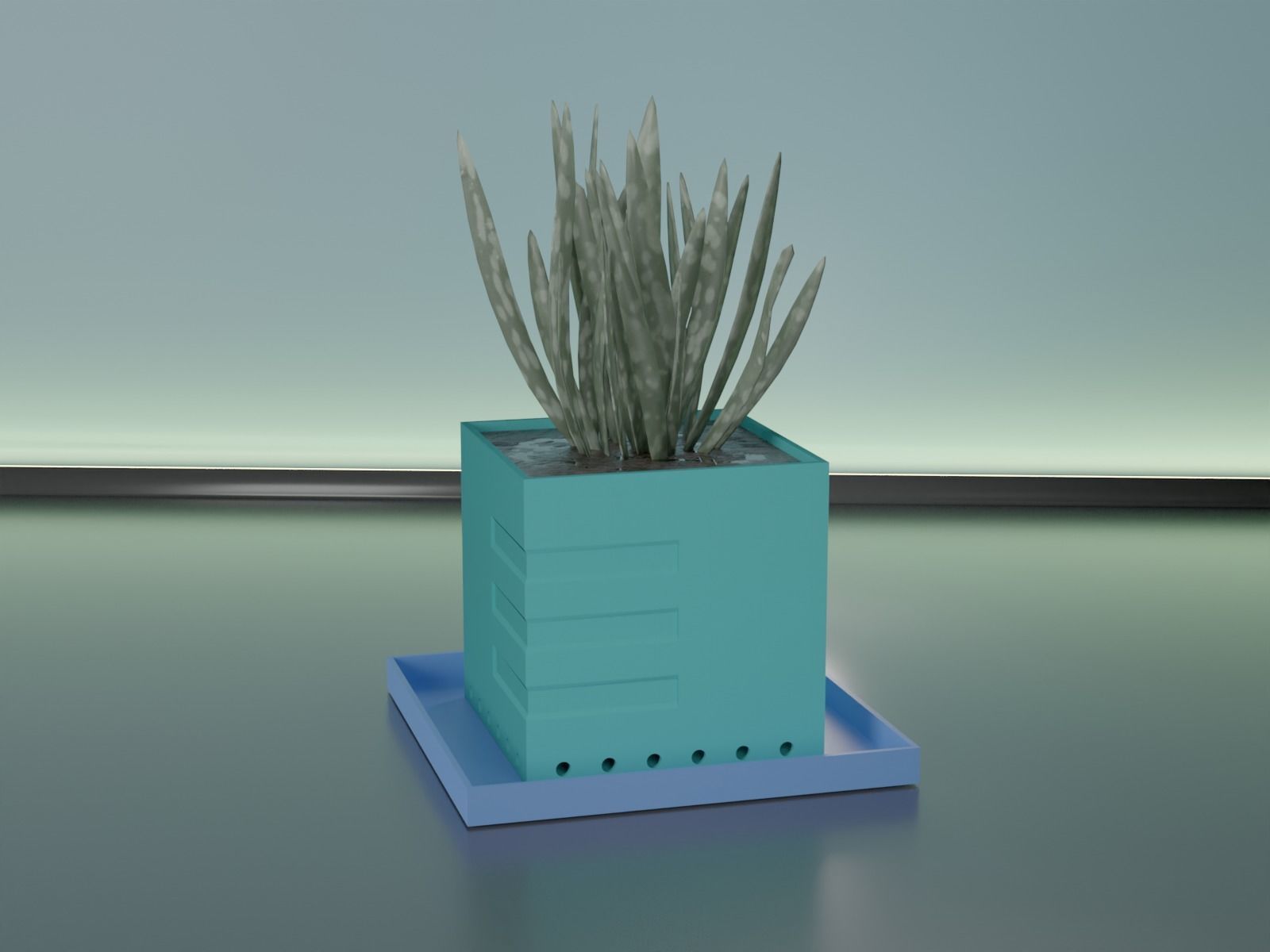 suculento planta maceta 28 cactus naturaleza flora flor forma resumen cuenco florero menaje vajilla general decoración botánico jardinería verde casa desagüe 3D print model - Mito3D