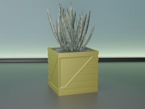 succulenta pianta pentola 30 cactus natura flora fiore forma astratto ciotola vaso casalinghi stoviglie generale arredamento botanico giardinaggio verde Casa scolare 3d print model - Mito3D
