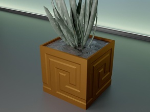 succulenta pianta pentola 31 cactus natura flora fiore forma ciotola vaso casalinghi stoviglie generale arredamento botanico giardinaggio verde Casa in 3d print model - Mito3D
