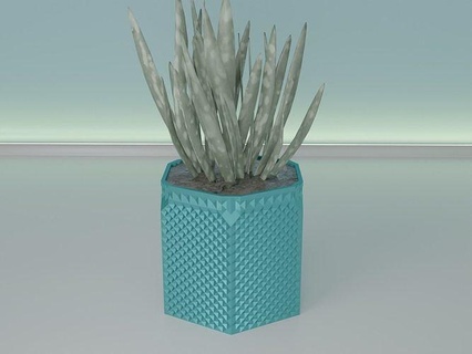 succulent plante pot 34 bob l'éponge cactus feuille fleur flore vase sable art accueil maison bol décoartion bureau planteur domicile jardinage vaisselle botanique décor 3d print model - Mito3D