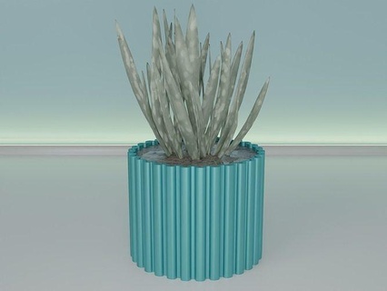 succulenta pianta pentola 36 cactus natura flora fiore forma ciotola vaso casalinghi stoviglie generale arredamento botanico giardinaggio verde Casa in 3d print model - Mito3D