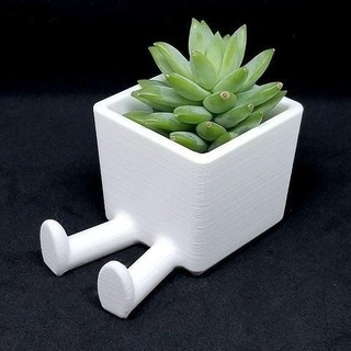 succulent planter 3d printed legged flower cute decoration gift pot vase cactus flowerpot succulentplanter leggedpot art mathematical 3d print model - Mito3D