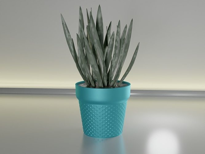 suculento maceta planta 24 hoja cactus naturaleza flora flor forma resumen cuenco florero menaje vajilla general decoración botánico jardinería verde casa 3D print model - Mito3D