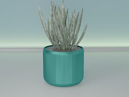 succulenta pentola pianta 32 cactus natura flora fiore forma astratto ciotola vaso casalinghi stoviglie generale arredamento botanico giardinaggio verde Casa scolare 3d print model - Mito3D
