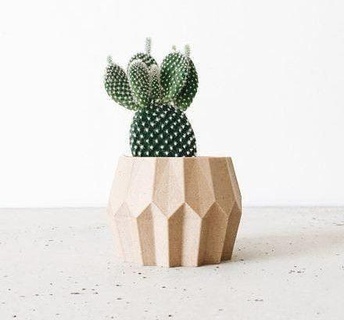 succulenta vaso 45 pianta 3d stampa decorazione pentola fiore arredamento cactus Casa giardino fioriera natura fiori in 3d print model - Mito3D
