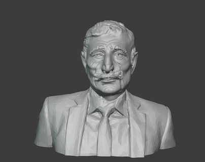 Suleyman seba suleymanseba besiktas bjk sergenialcina fenerbahce galatasaray arte sculture 3d print model - Mito3D