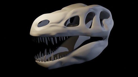 t-rex skull dinosaur jurassic prehistoric cretaceous dino extinct skull animals creature beast paleontology science biology  3d print model - Mito3D