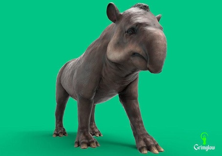 tapir animal animales Amazonas biología salvaje selva tropical verde criatura Arte esculturas 3d print model - Mito3D