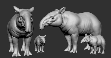 tapirus sanat doku hayvanlar heykel heykeller tusk doğa gövde orman ahşap 3d print model - Mito3D