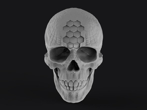 techno skull bones human head anatomy skeleton bone dead teeth death skeletal science animal anatomical art sculptures 3d print model - Mito3D