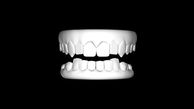 teeth dentures 3d file anatomy mouth tooth enamel dental dentist dentistry jaw gum root care science chew animated molar dentin dentition bicuspid 3d print model - Mito3D