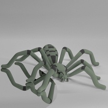 tegenaria domestica scienza spider casa ottobre di halloween divertente art insetto aracnide biologia 3d print model - Mito3D