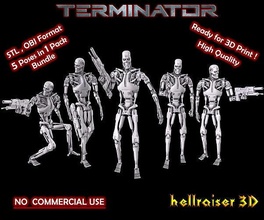 terminator t-800 endoskeleton bundle t 800 character cyborg machine model robot skull robotic mechanical sci fi skynet mech arnold mecha fallout apocalyptic games toys 3d print model - Mito3D