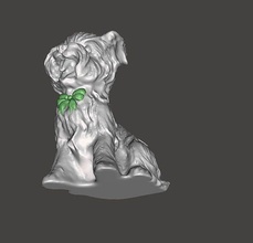 terrier cão animal mamífero cachorro natureza arco gravata engraçado casa acessórios 3d print model - Mito3D
