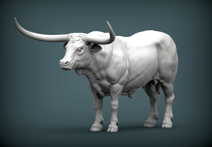 texas longhorn rasse stier kuh rindfleisch skulptur vieh rinder tiere säugetier 3d drucken bauernhof pflanzenfresser fleisch steak skulpturen cowboy kunst 3D print model - Mito3D