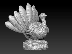 thanksgiving turkey bird chicken animals blackfriday house decor november istanbul pilgrim fall autumn 3d print model - Mito3D