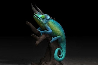 three horned camaleão trioceros jackonii Alto 3d impressão resolução stl Ciência biologia 3d print model - Mito3D
