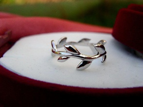 tiffany-estilos verba-anillo de sauce anillo la joyería verba willow tiffany delgado suave femenino luz los anillos elegante rama hojas 3d print model - Mito3D