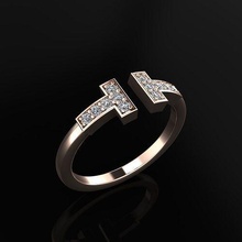Tiffany anel joalheria luxo elegante gema ouro prata Casamento diamante brinco pulseira colares pingente rinoceronte acessório beleza moda Projeto cafajeste jóia argolas 3d print model - Mito3D