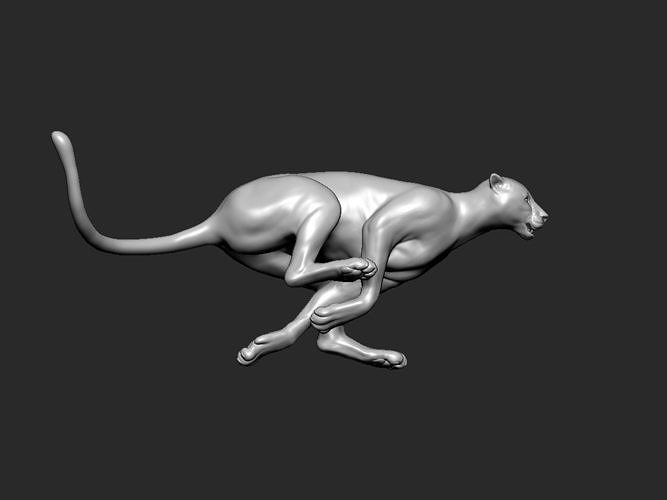 kaplan hayvan çita vahşi doğa leopar panter kedi 3dprinting yazdırılabilir minyatürler figürinler yaban hayatı heykel 3dprint Sanat heykeller 3D print model - Mito3D