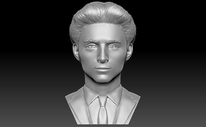 Timothee Chalamet büst 3d baskı aktör Hollywood Oscar şöhret zendaya Tom Hollanda kumdan tepe Willy Wonka Brad pitt demirci di Caprio Niro Jolie Sanat heykeller 3D print model - Mito3D