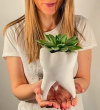 zahn zahnarzt vase 3d drucken modell medizin pflege zähne dental zahnheilkunde kunst dekor dekoration pflanzer pflanze haus 3d print model - Mito3D