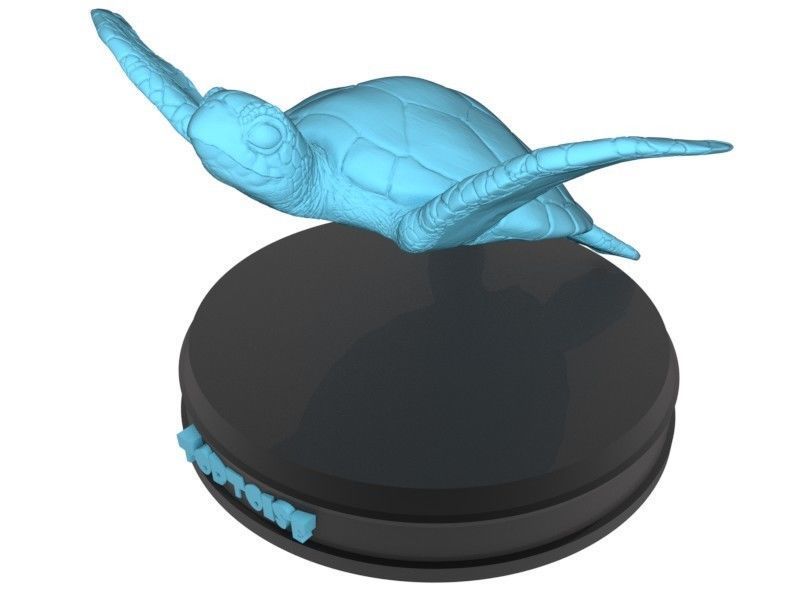 tortuga imprimible art la salvaje animal naturaleza bajo mar agua océano de juguete los juguetes real realista estatua oceánica shell las esculturas 3D print model - Mito3D