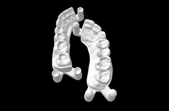 formation dents dentaire étudiants dentisterie dentiste dent bosse soucier molaire orthodontiste émail dentine incisive mandibulaire anatomie dentition science 3d print model - Mito3D