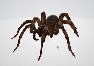 trapdoor örümcek yaban hayatı hareket doğa vahşi hayvan ürkütücü kıllı omurgasız tarantula memeli korku ürpertici arazi korkutucu lanetli eğri Bilim Biyoloji 3d print model - Mito3D
