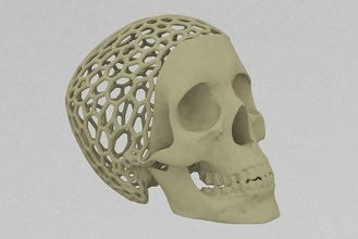 trevorskull kafatası kemikler minyatür çene diş anatomi vücut Bilim Biyoloji 3d print model - Mito3D