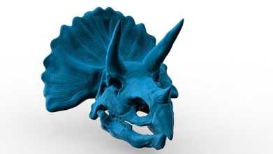 tricératops crâne 3d modèle dinosaure art paléoart paléontologie fossile tête jurassique sculptures 3d print model - Mito3D